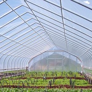 Serre de <span class=keywords><strong>jardin</strong></span> Searea Chine - Product Image 3