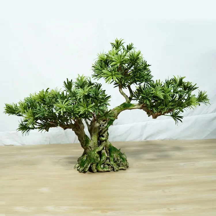 Plastic Material and natural roots with moss 80cm alat bonsai pine macetas para bonsai baratas japanese bonsai