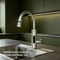 Robinet d'eau chaude instantanée électrique entièrement en acier inoxydable, design col de cygne rotatif, autoportant, étanche IPX4, pour usage extérieur et domestique
