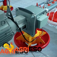 Ligne d'alimentation automatique pour volailles avec mangeoire à plateau et système de chaîne pour ferme avicole commerciale, solution clé en main