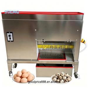 Éplucheuse automatique commerciale en acier inoxydable pour œufs de poulet et de caille, faible taux de bris, pour cantines et usines d'œufs <span class=keywords><strong>marin</strong></span>és - Product Image 1