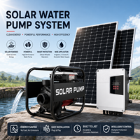 Ensemble de pompes solaires de surface DC avec contrôleur intelligent pour l'irrigation agricole, l'abreuvement du bétail et les zones isolées