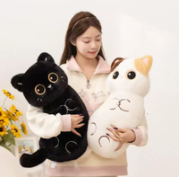 Nouveau design, jouet en peluche pour chat très populaire, coussin super doux pour chat, cadeau pour petite amie, accepte la personnalisation