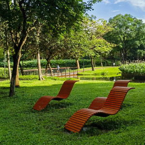 كرسي استرخاء خشبي صلب مقاوم للتآكل للاستخدام الخارجي على الشاطئ، قابل للتحريك، تصميم عصري بسيط، مقعد ترفيهي إبداعي للحدائق - Product Image 2