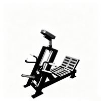 Appareil de musculation à domicile réglable pour le dos, les épaules et les biceps, avec système de rame linéaire à 45° pour le renforcement du tronc