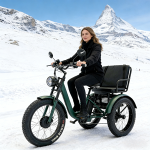 <span class=keywords><strong>Tricycle</strong></span> <span class=keywords><strong>électrique</strong></span> <span class=keywords><strong>adulte</strong></span> robuste à 3 roues avec gros pneus pour la conduite <span class=keywords><strong>tout</strong></span>-<span class=keywords><strong>terrain</strong></span> en extérieur - Product Image 1