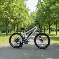 Vélo de montagne Lantu Ebike Mtb 27,5 pouces 750W avec double batterie