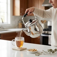 Bouilloire à eau moderne et écologique en acier inoxydable de 2 L, compatible avec l'induction, avec couvercle en acier inoxydable pour faire bouillir l'eau