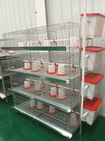 Nouveau système de cages à poules pondeuses de type H en acier inoxydable pour l'élevage avicole, avec collecte automatique des œufs et élevage de poulets de chair
