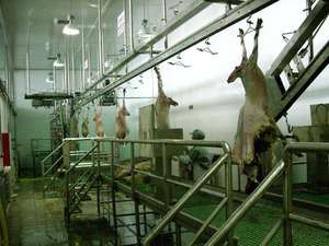 Macellazione di rotolamento carne appeso trolley ganci/apparecchiature macellazione ganci per la carne di Pecora - Product Image 4