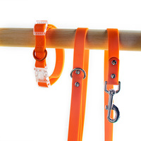 Ensemble collier et laisse pour chien en PVC solide, réglable et tendance, vente en gros