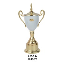 Trofeo Deportivo de Metal Personalizado de Alta Calidad y Duradero de la Marca Phoenix, Chapado en Oro y Plata, Grabado con Letras Impresas