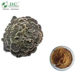 100% Natrual Maitake Mushroom Extract 10% 15% 20% 25% 30%