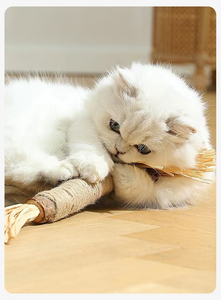 <span class=keywords><strong>Jouet</strong></span> pour chat super <span class=keywords><strong>grand</strong></span> format en silvervine, bâton de catnip avec herbe de raphia, fruits et plumes, <span class=keywords><strong>jouet</strong></span> interactif pour chat à mâcher et à chatouiller - Product Image 6