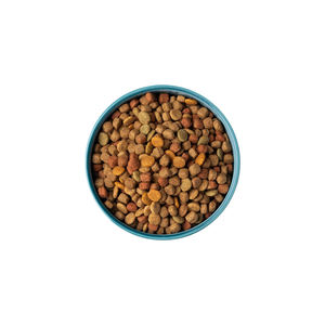 润百嘉OEM干粮猫粮生产-高蛋白无谷物有机15公斤/20公斤散装供应来自中国工厂 - Product Image 2