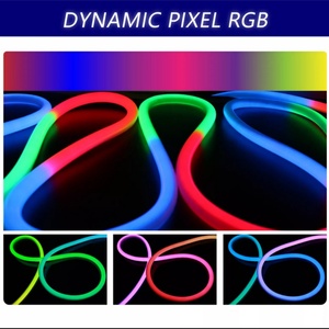 Tira de Luz LED RGB Digital de 360 Grados con Cubierta de PVC, Efecto Pixel Mágico, para Iluminación Arquitectónica y Contornos de Edificios - Product Image 6