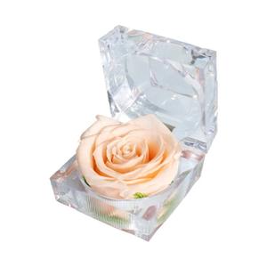 صندوق هدايا الأكثر مبيعًا يحتوي على هدية للأم الوردة إلى الأبد هدية عيد الحب الوردي الورود الخلود - Product Image 6