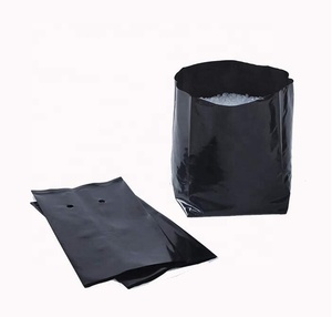 Bolsa <span class=keywords><strong>de</strong></span> siembra perforada <span class=keywords><strong>de</strong></span> <span class=keywords><strong>polietileno</strong></span> PE, protección UV <span class=keywords><strong>de</strong></span> plástico, bolsas para cultivo <span class=keywords><strong>de</strong></span> galones, maceta, Agujero transpirable - Product Image 6