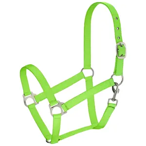 Beste Qualität-Nylon Pferd Halter-Hervorragende Lebendige und Helle Farbe-Nickel Überzogene Eisen Hardware