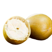 Dijual teh buah kering suhu rendah dehidrasi Luo Han Guo kuning emas Siraitia Grosvenorii