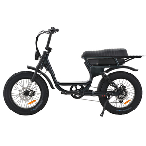 Bicicleta de Montaña Eléctrica de 20 Pulgadas, 750W, 48V, con Llantas Gruesas, F20, en Oferta - Product Image 6