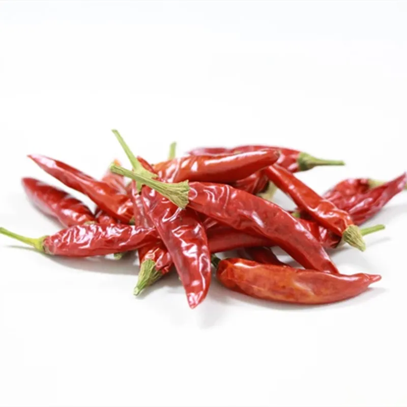 Tuyệt vời chất lượng màu Đỏ teja Ớt Paprika gia vị có sẵn số lượng lớn giá Bán Khô toàn bộ Paprika từ Trung Quốc xuất khẩu