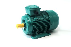 Landtop <span class=keywords><strong>Y2</strong></span> loạt ba pha 0.09kw-315kw đầu ra 220V 5KW động cơ cảm ứng điện động cơ không đồng bộ <span class=keywords><strong>AC</strong></span> động cơ điện - Product Image 4