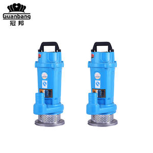 <span class=keywords><strong>Pompe</strong></span> à eau submergée domestique à haute pression de Offre Spéciale 0.25KW <span class=keywords><strong>pour</strong></span> l'irrigation agricole <span class=keywords><strong>pompe</strong></span> de puits personnalisable d'OEM de sortie de 1 pouce - Product Image 5