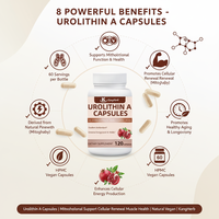 Capsules d'Urolithine A en marque privée, soutien mitochondriel, énergie cellulaire, complément alimentaire, fabricant OEM