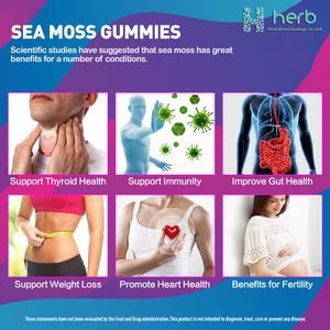 Gomitas de Musgo Marino de Marca Privada OEM/ODM, Ricas en Minerales, Vitaminas y Fibra Dietética, Ayuda a Mejorar la Motilidad Intestinal - Product Image 5