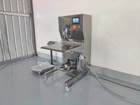 Nouvelle machine de remplissage semi-automatique pour usine de production de boissons personnalisée, 1-25l, sac, boîte, remplisseur aseptique BIB, pompe en acier inoxydable