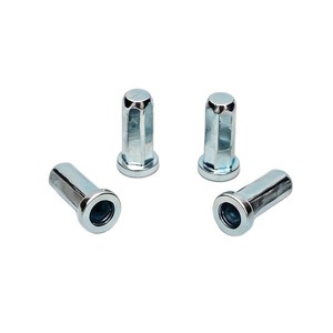 Tuerca Remachable Hexagonal Ciega Ou Xin 1008 de Acero al Carbono Zincado para Racks de Servidores y Chasis - Product Image 1
