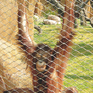 Filet anti-oiseaux pour enclos de zoo, clôture pour cages de tigres, <span class=keywords><strong>grillage</strong></span> pour volières, <span class=keywords><strong>maille</strong></span> en câble d'acier inoxydable flexible - Product Image 1