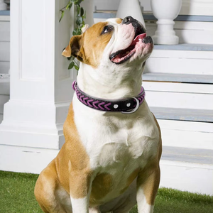 <span class=keywords><strong>Collar</strong></span> de Cuero NIBAO para Perros Grandes, Elegantes Collares de Perro Trenzados y Acolchados con Doble Anilla en D - Product Image 5