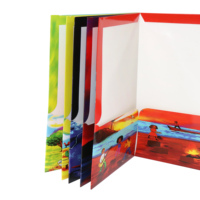 Carpeta de presentación de documentos personalizados, tamaño A4, papel de cartón, expansión, decorativa