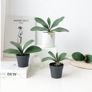 Venta caliente Planta Artificial Mariposa Orquídea Hojas <span class=keywords><strong>de</strong></span> árboles artificiales para <span class=keywords><strong>la</strong></span> decoración del hogar Jardinería Accesorios <span class=keywords><strong>DE</strong></span> PAISAJE - Product Image 1