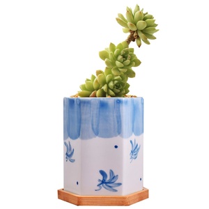 Nouveau pot de fleurs en céramique de style chinois à fleurs bleues peintes à la main, respirant, résistant à la corrosion, pour plantes vertes de bureau, petit pot de fleurs charnu - Product Image 5