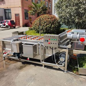 High Quality <strong>Vegetable</strong> Cleaning and Processing Line Full Automatic <strong>Vegetable</strong> Bubble Washer Dryer <strong>Production</strong> Line - Product Image 4