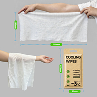 Lingettes Rafraîchissantes Instantanées Menthe Glacée – Lingettes Humides Jetables Sans Alcool pour Soulagement de la Chaleur Estivale et Sports de Plein Air