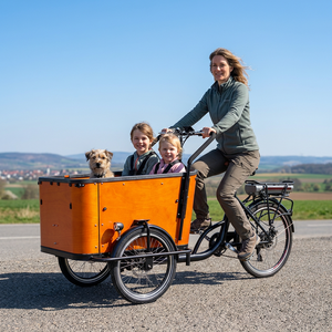Tricycle électrique à cadre bas, Tricycles électriques avec side-car, Vélo <span class=keywords><strong>cargo</strong></span> électrique, Vélo électrique Bakfiet, Remorque pour vélo <span class=keywords><strong>cargo</strong></span> électrique - Product Image 1