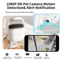 Petwant Pet Supplies Fabrication En Gros Nouveau Design 1.8L Visible Food Hooper Auto Pet Chat Lapin Petits Animaux Avec Caméra