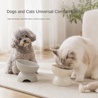 Gamelle en céramique écologique inclinée et surélevée, couleur unie, anti-renversement, anti-déversement, en forme de gourde, pour l'alimentation des chats et des chiens