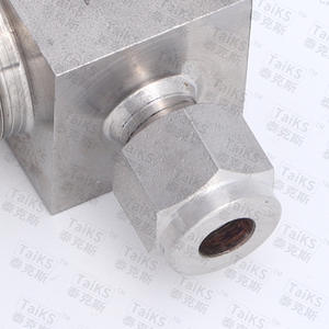 Industrial Filtration Equipment Manufacturer-Supplied Stainless Steel T-Type High-Pressure Filters with Internal Thread - Product Image 2