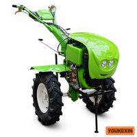 Mini motoculteur rotatif diesel portatif pour l'agriculture 7-15 CV certifié CE, directement du fabricant