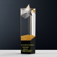 Trophée en cristal haut de gamme, élégant, créatif, en forme d'étoile, moderne et minimaliste, idéal pour les équipes de collaboration gagnant-gagnant