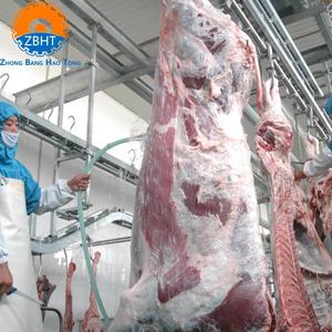 Équipement d'abattage de bétail <span class=keywords><strong>halal</strong></span> de qualité industrielle ZBHT, personnalisable, avec garantie d'un an pour l'utilisation par les boucherons dans l'abattoir - Product Image 5