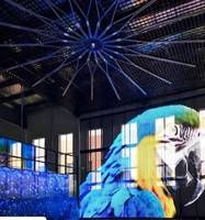 Mur holographique Muxwave à haute transparence pour intérieur, idéal pour les halls d'entrée