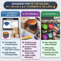 Bol pliable pour chien en Silicone, Logo personnalisé, bols pour animaux de compagnie, voyage