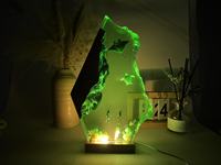 Lampe en résine époxy faite à la main pour la décoration intérieure, veilleuse de plongeurs, lampe de table micro-paysage, ornement unique, meilleurs cadeaux pour amis