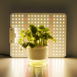 Lampe de culture LED IP54 100W à spectre complet, panneau LED dimmable pour plantes d'intérieur et applications en serre de culture - Product Image 2